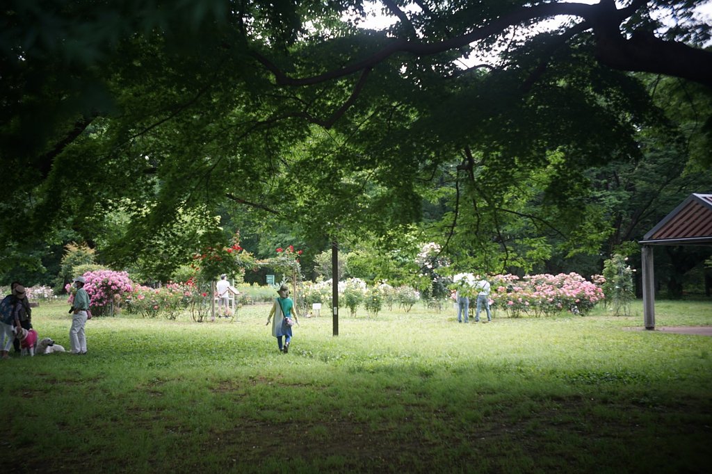 代々木公園