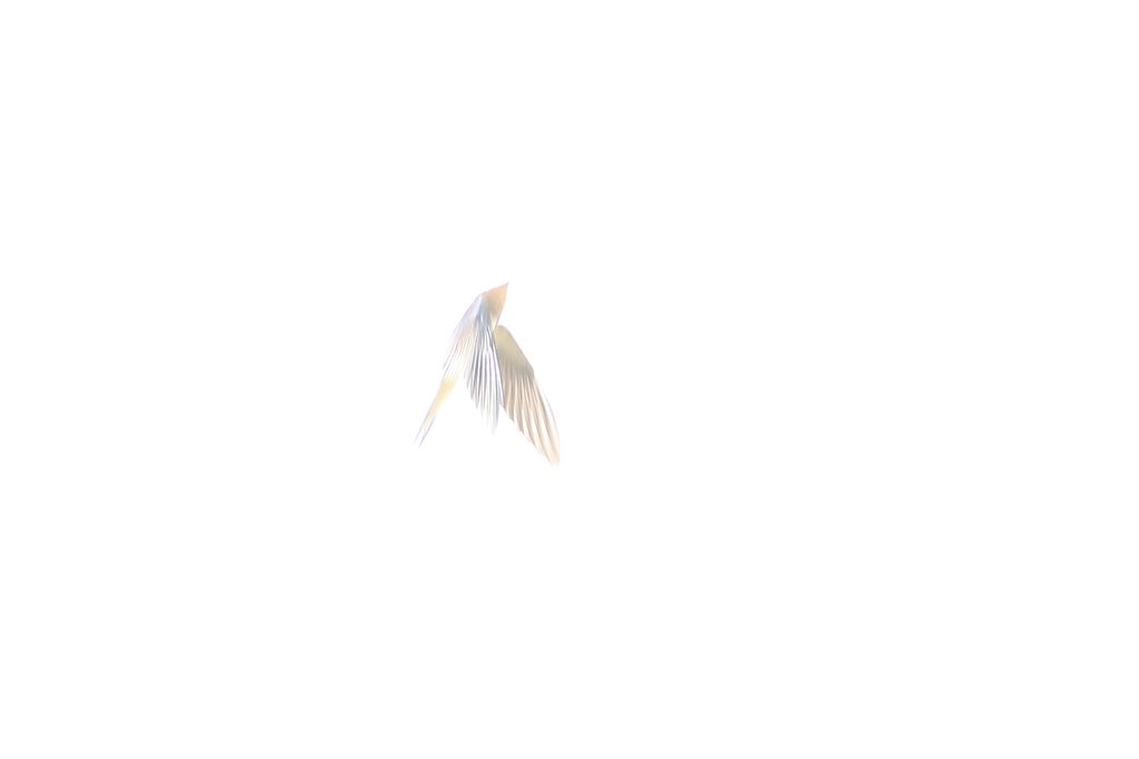 光陰チュンバメのごとし　～光編～
