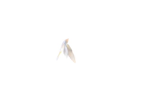 光陰チュンバメのごとし　～光編～