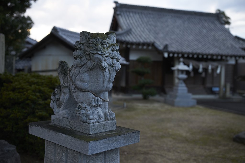 雑感