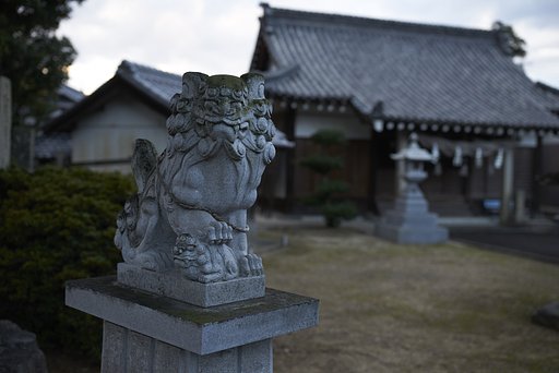 雑感