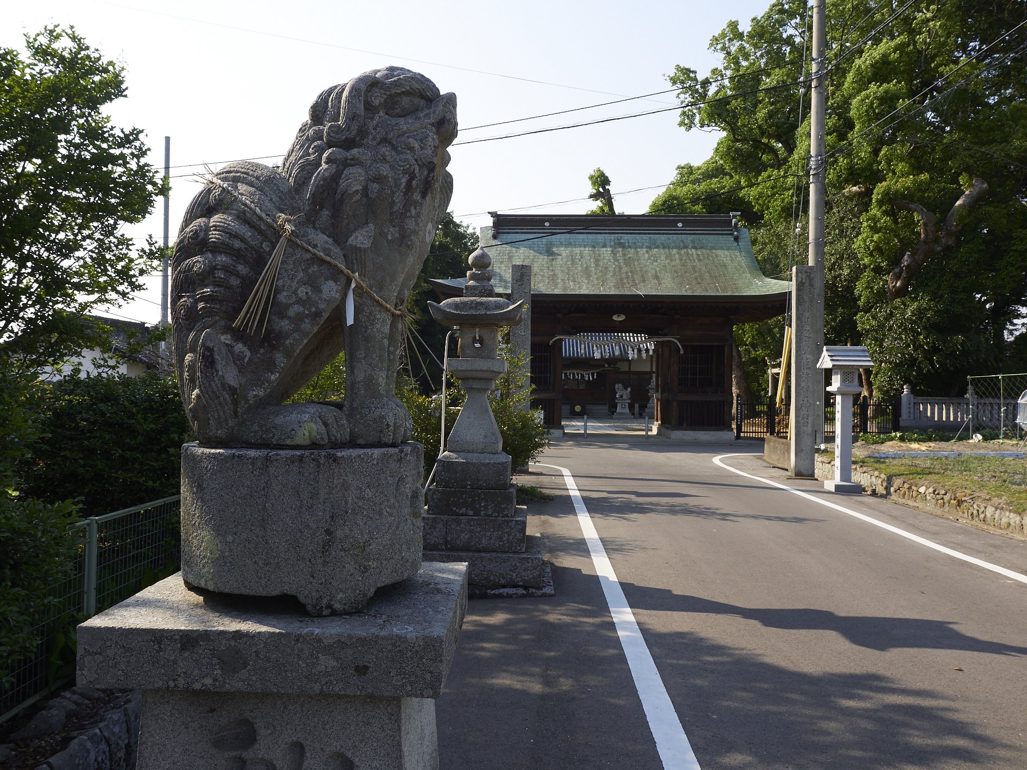 雑感