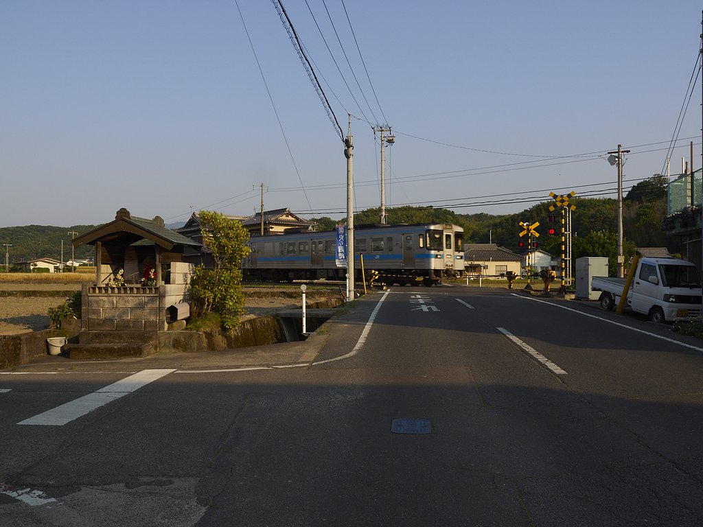雑感