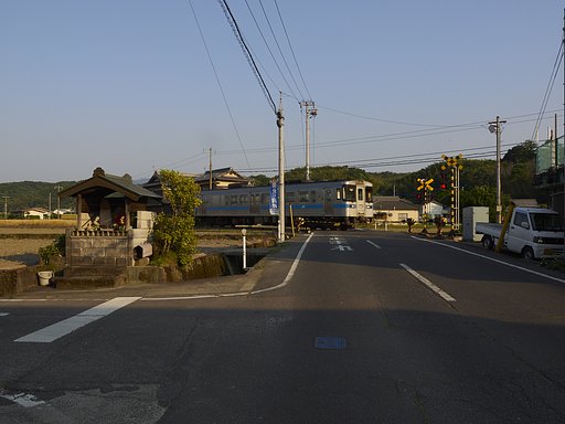 1月29日の写真