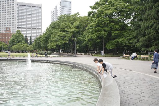 『木』木と水と人