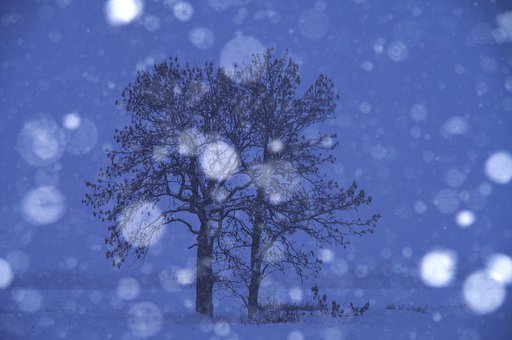1月16日の写真