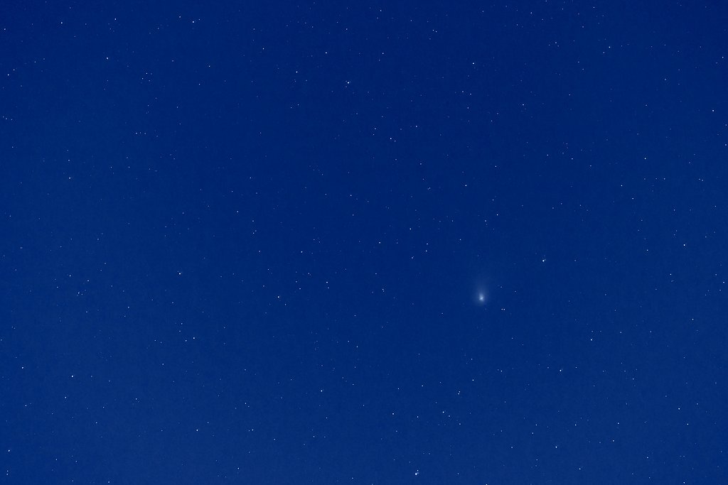 ZTF（ズィーティーエフ）彗星