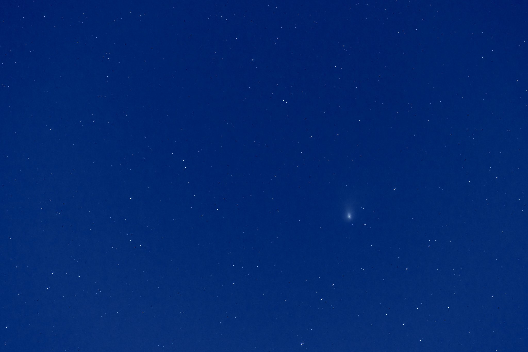 ZTF（ズィーティーエフ）彗星