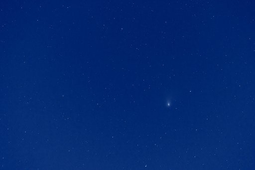 ZTF（ズィーティーエフ）彗星