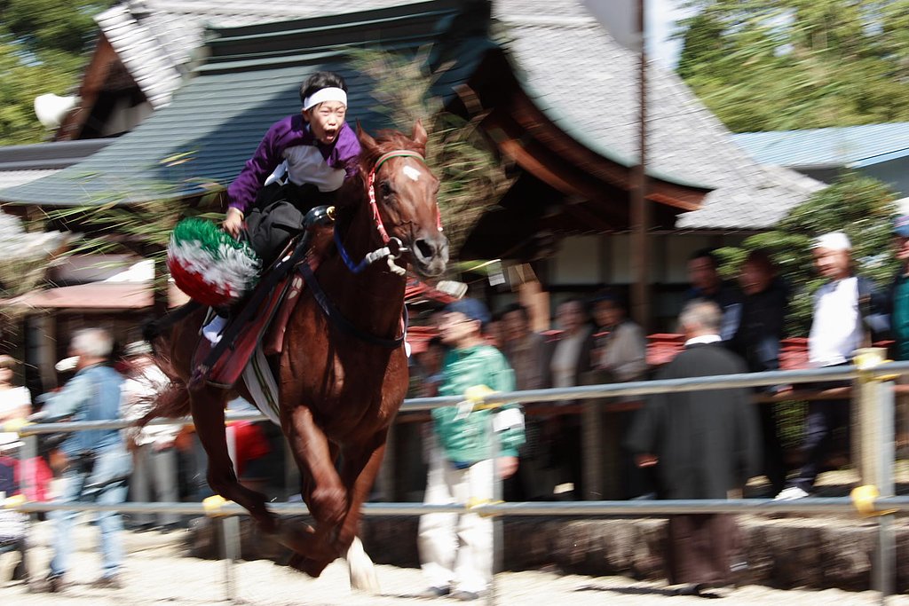 馬場見せ