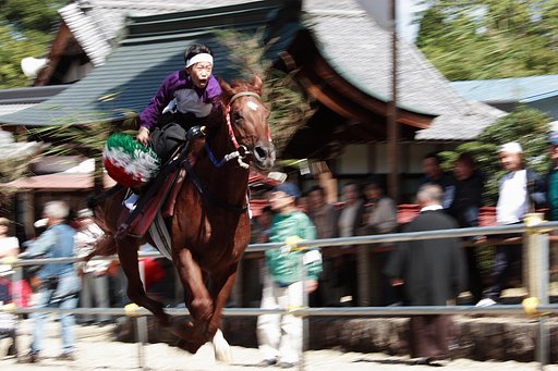 馬場見せ