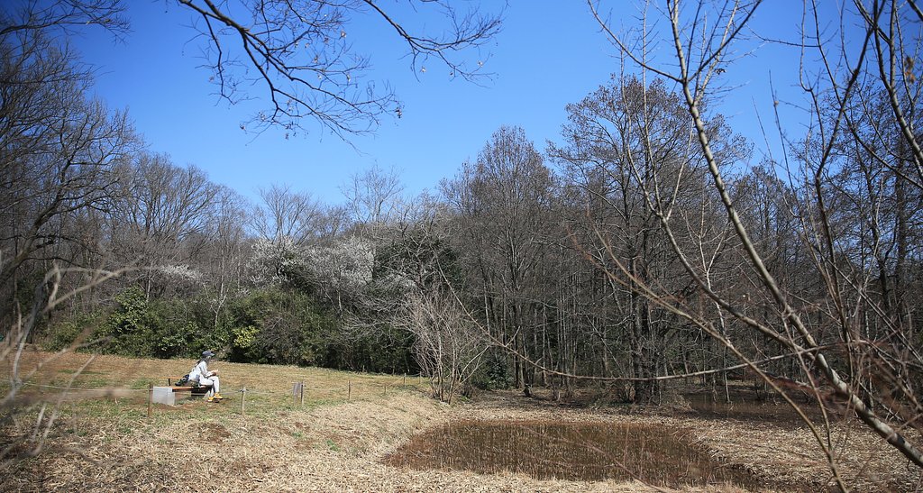 【春到来】ひとり