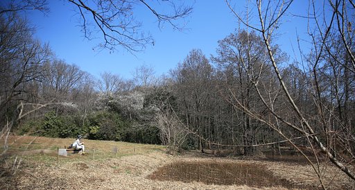 【春到来】ひとり
