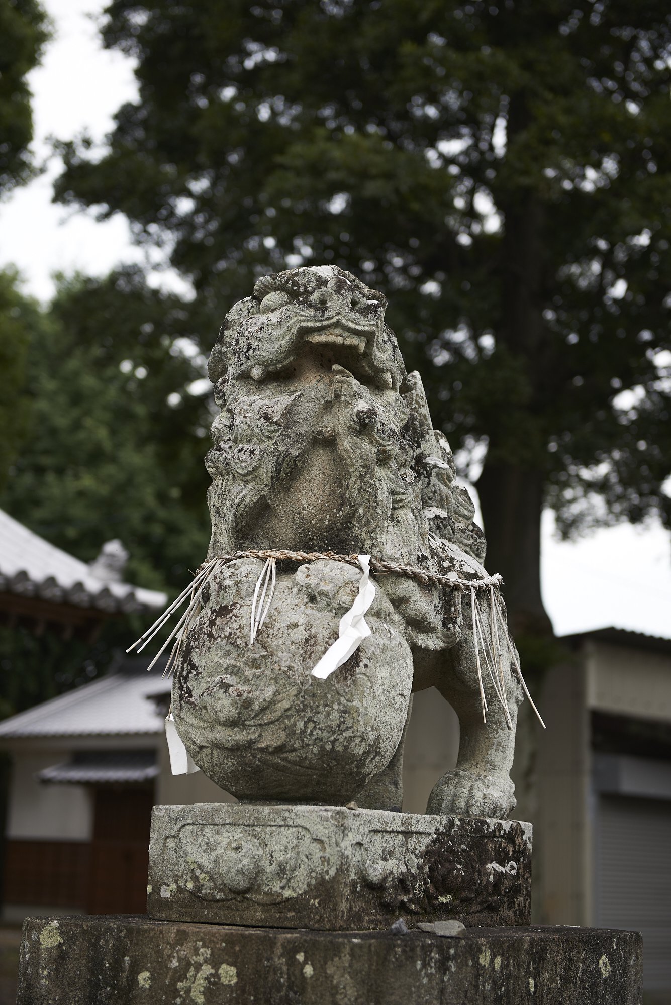 雑感