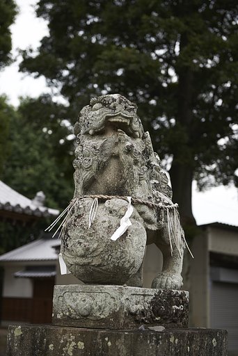 雑感