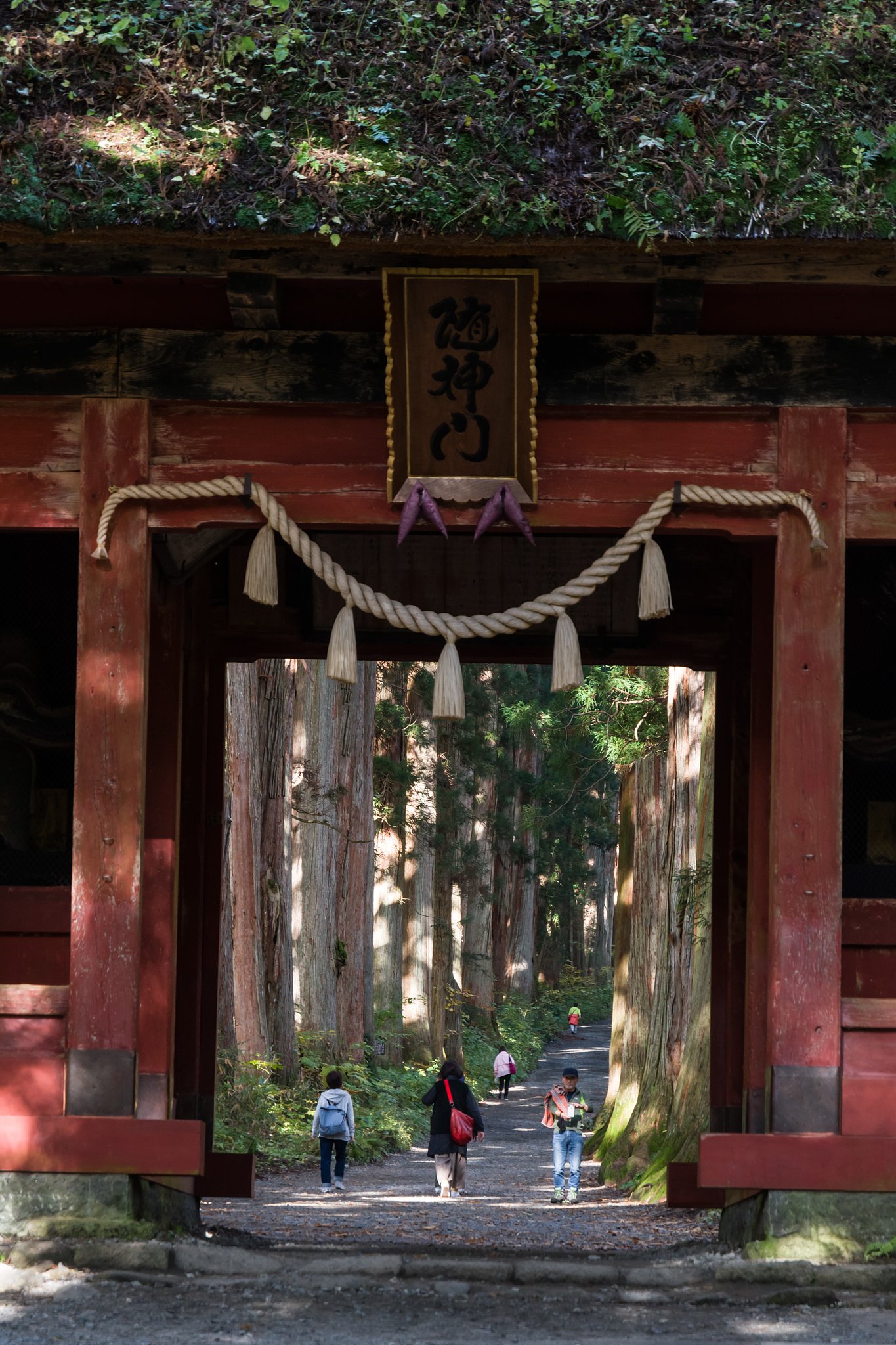 別世界への入り口