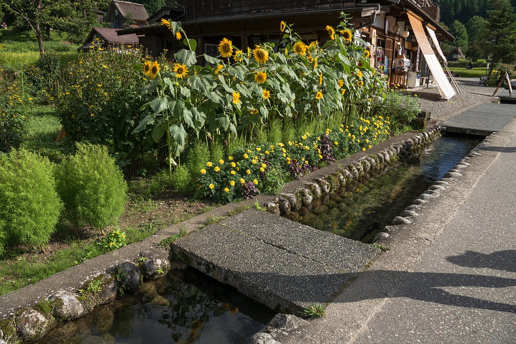 透明な水