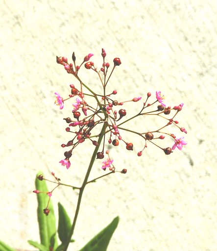 10月18日の写真