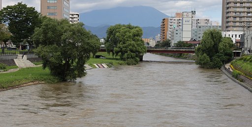 8月17日の写真