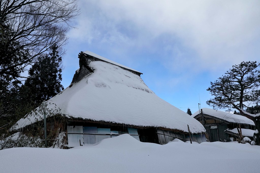 2022  初撮りです