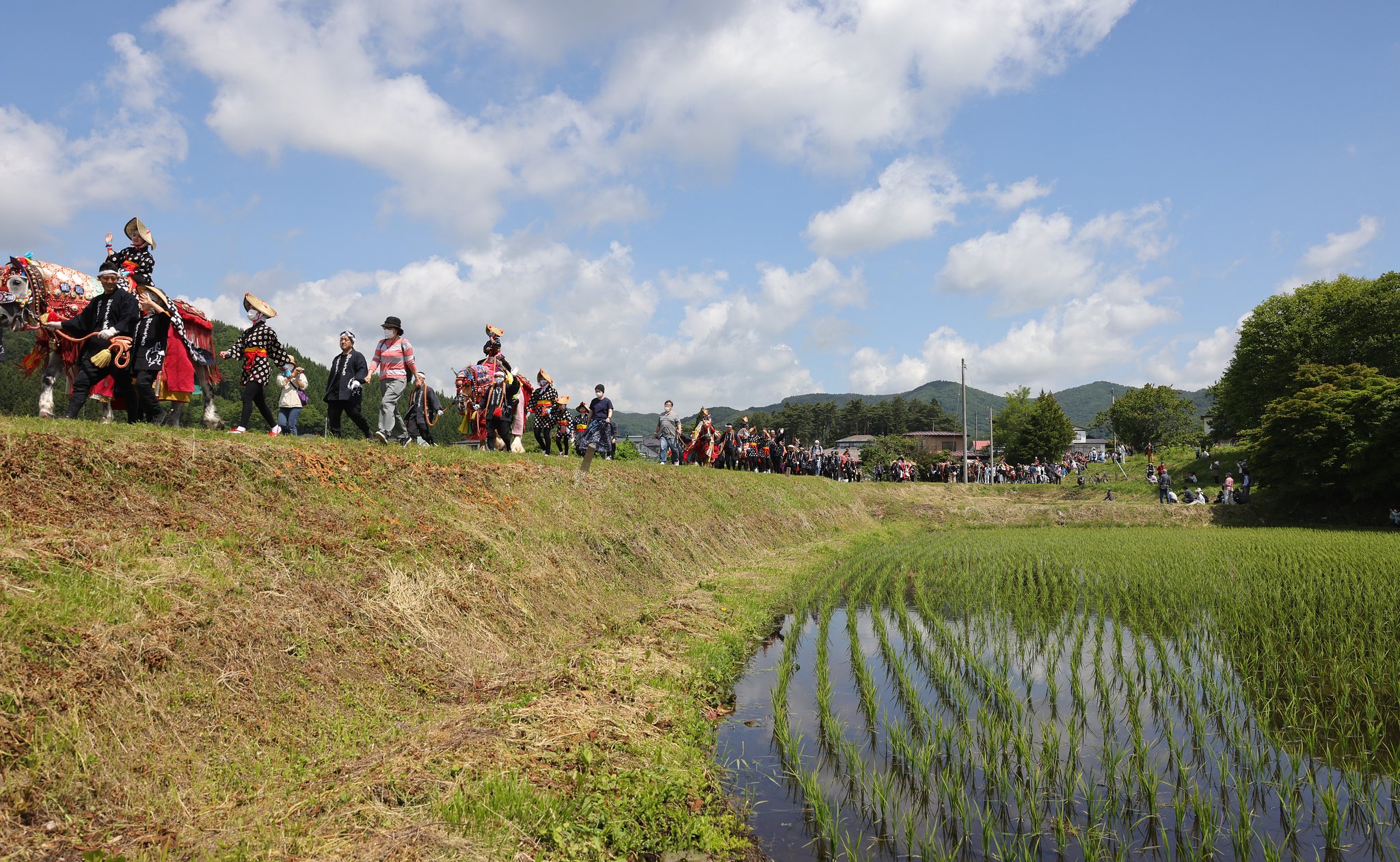 チャグチャグ馬コ（その２）田んぼ道をゆく