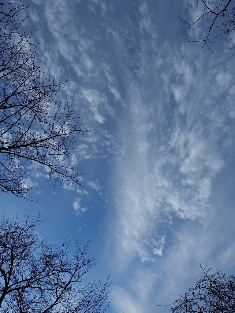 流氷の空