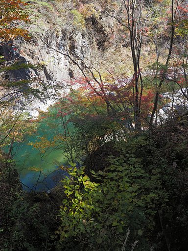 魅惑のエメラルド