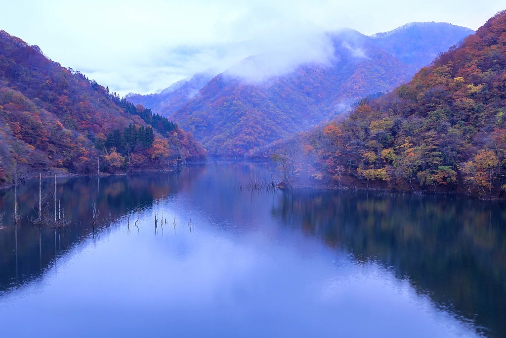 朝の徳山ダム