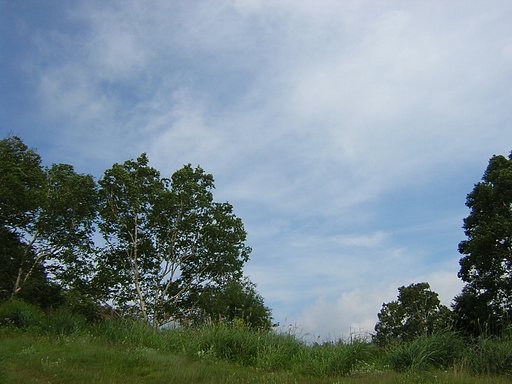 故郷の空