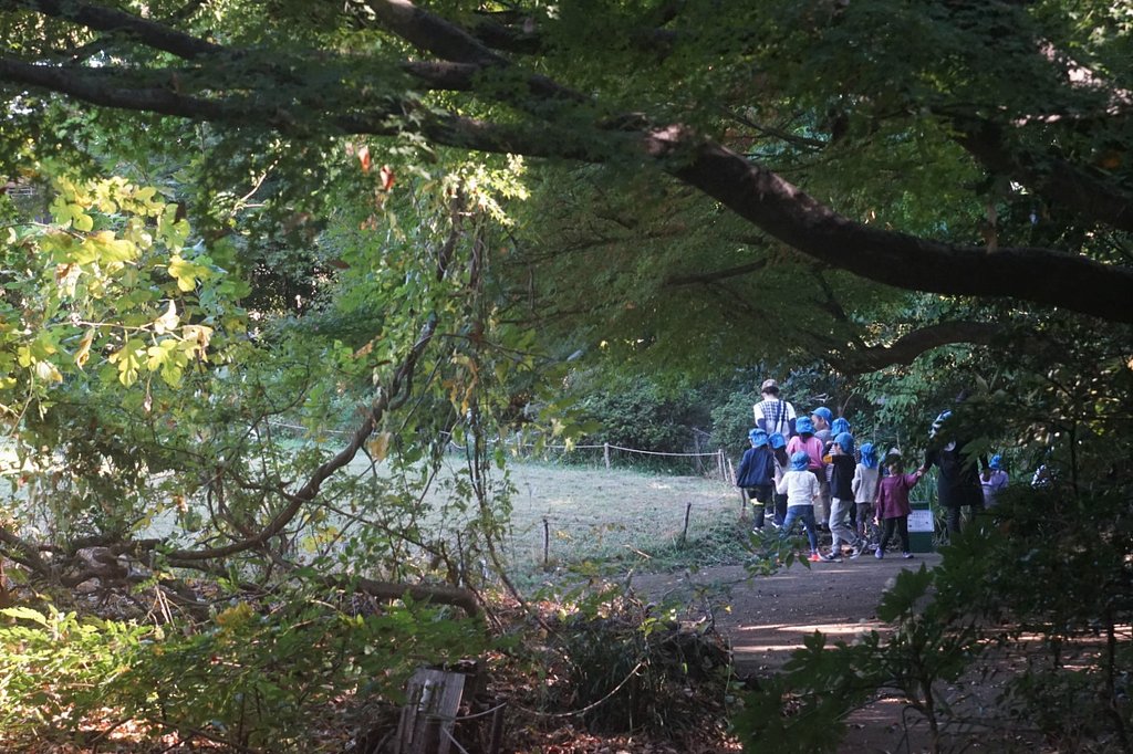 桜丘すみれば自然庭園