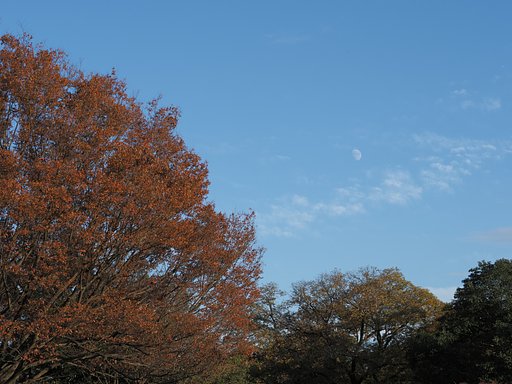 空の河