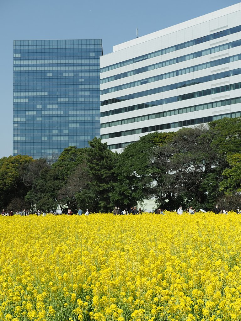 濃厚な春