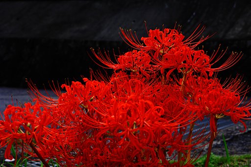 深紅
