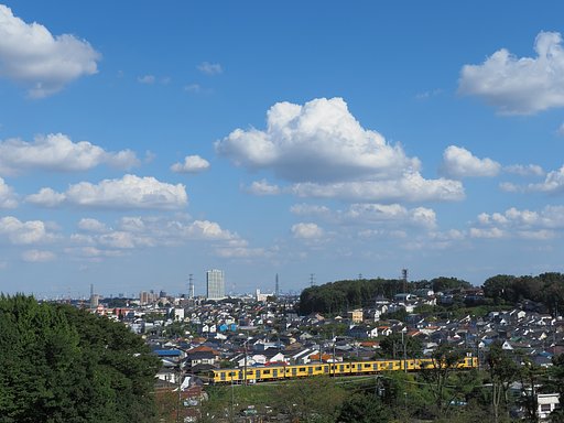 やっぱり「黄色い電車」