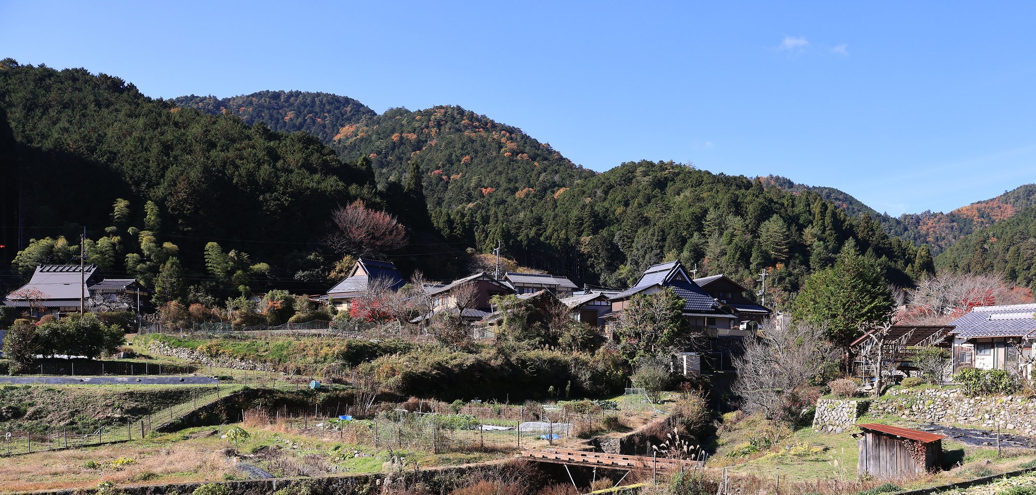 まだ【秋】京都大原の里