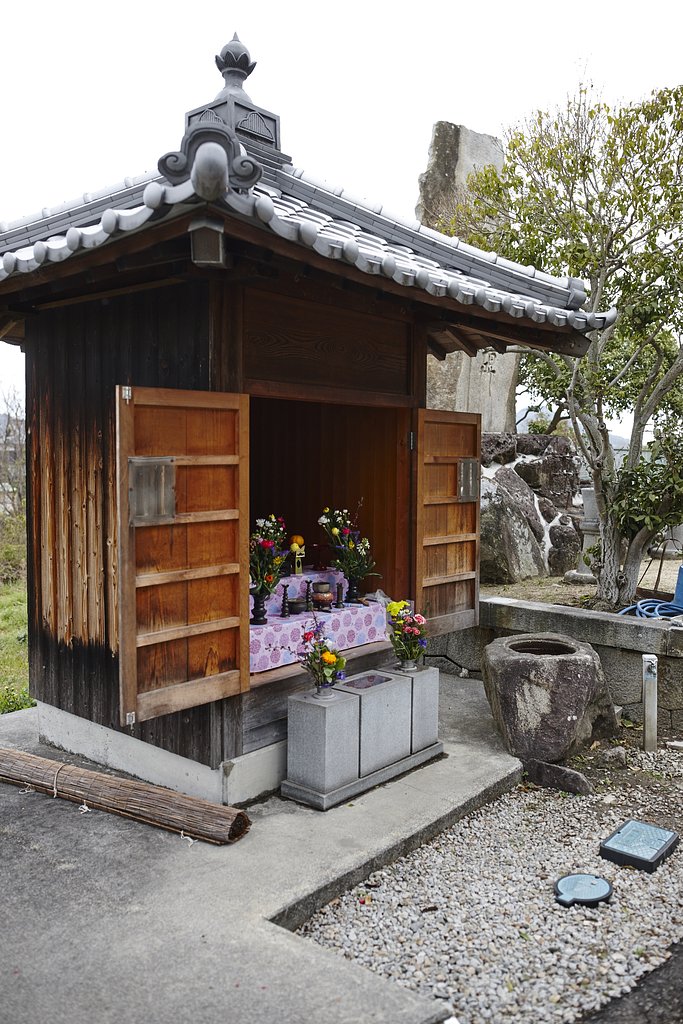 雑感