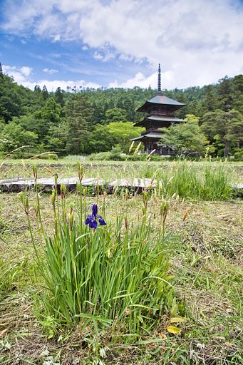 安久津八幡神社にて