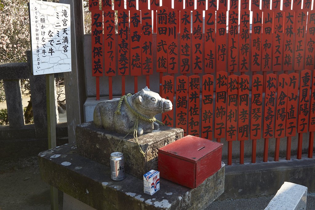 雑感
