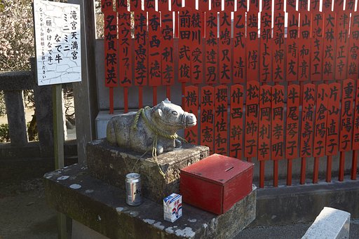雑感
