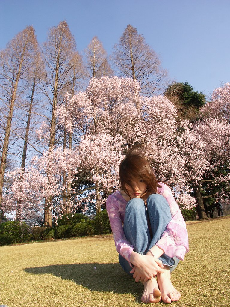 『桜と女』２シリーズ