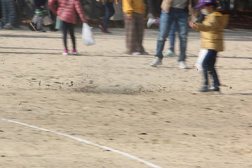 1月8日の写真