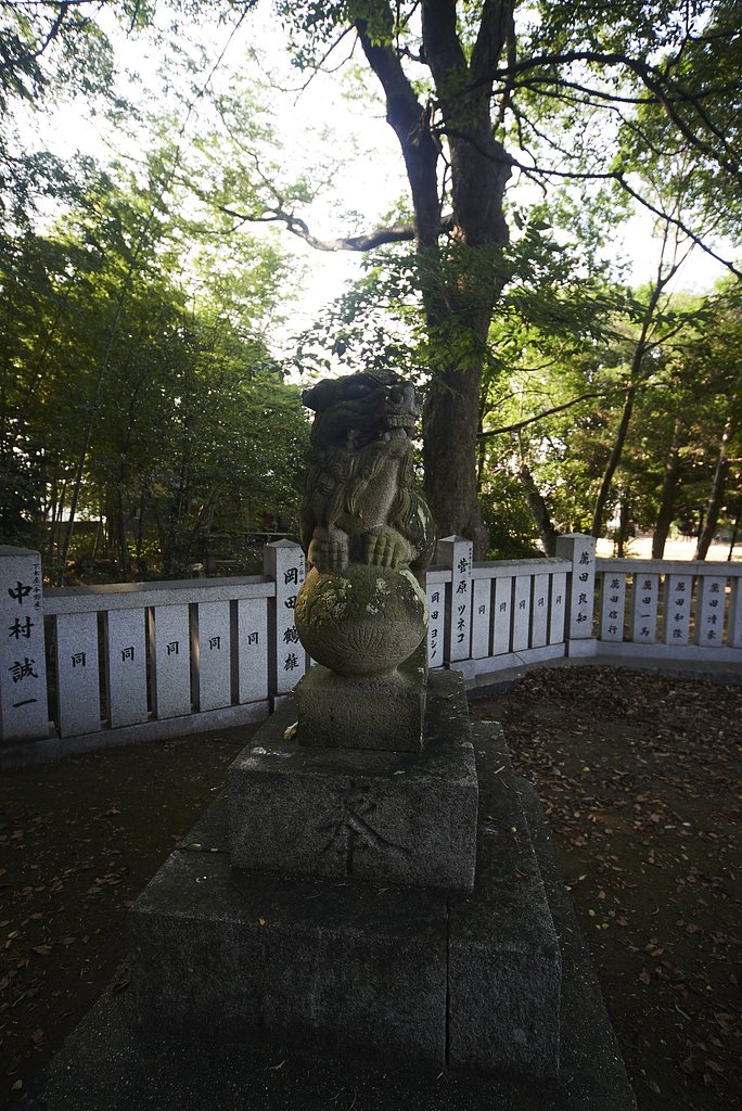 雑感