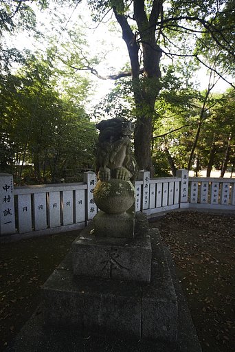 雑感