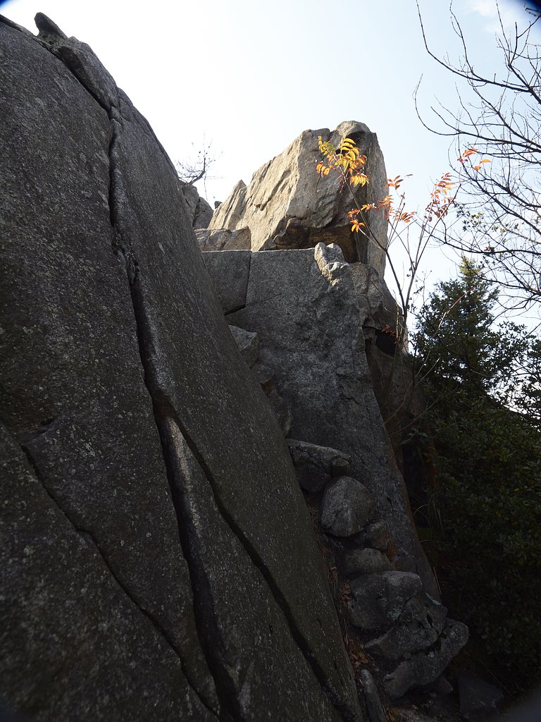 道