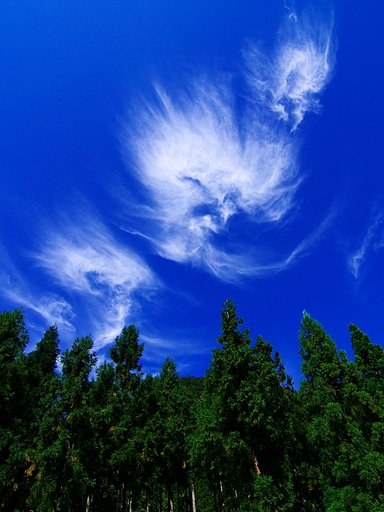 青い空と白い雲