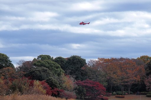 秋彩、紅来たる