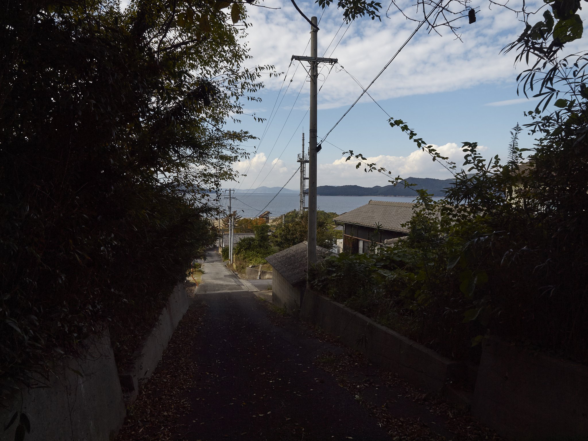道