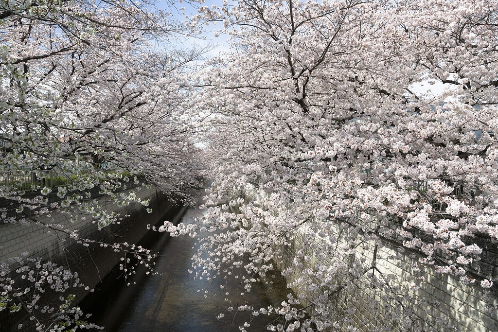 気持も明るく