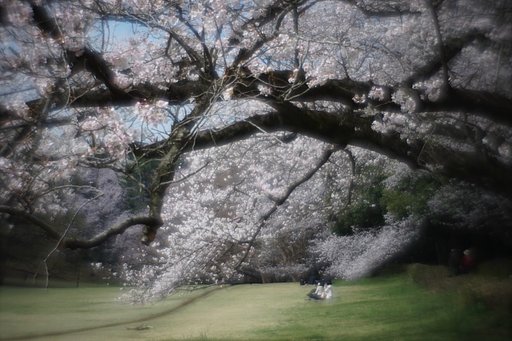 花散らし