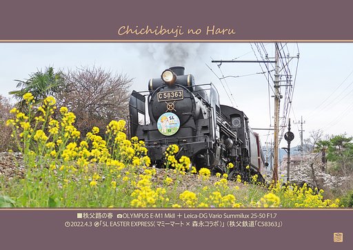 4月3日の写真
